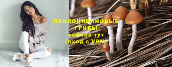 Альфа ПВП Арсеньев