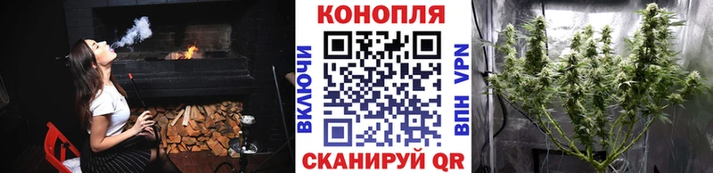 Конопля индика  Пошехонье 